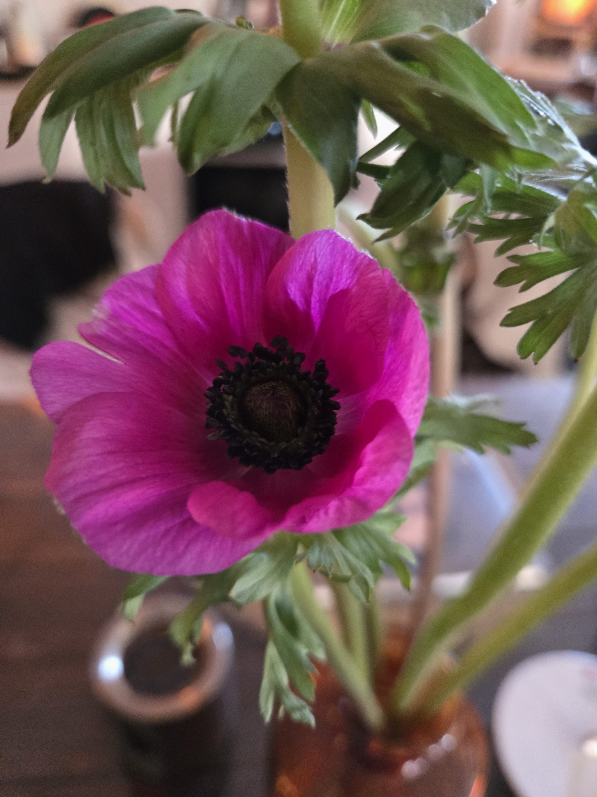 Gemäldeausschnitt, auf dem zwei junge Frauen in weißen, langen, wallenden Kleidern zu sehen sind