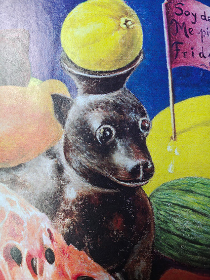 Gelände mit schwarzem Hund, der eine Honigmelone auf dem Kopf trägt