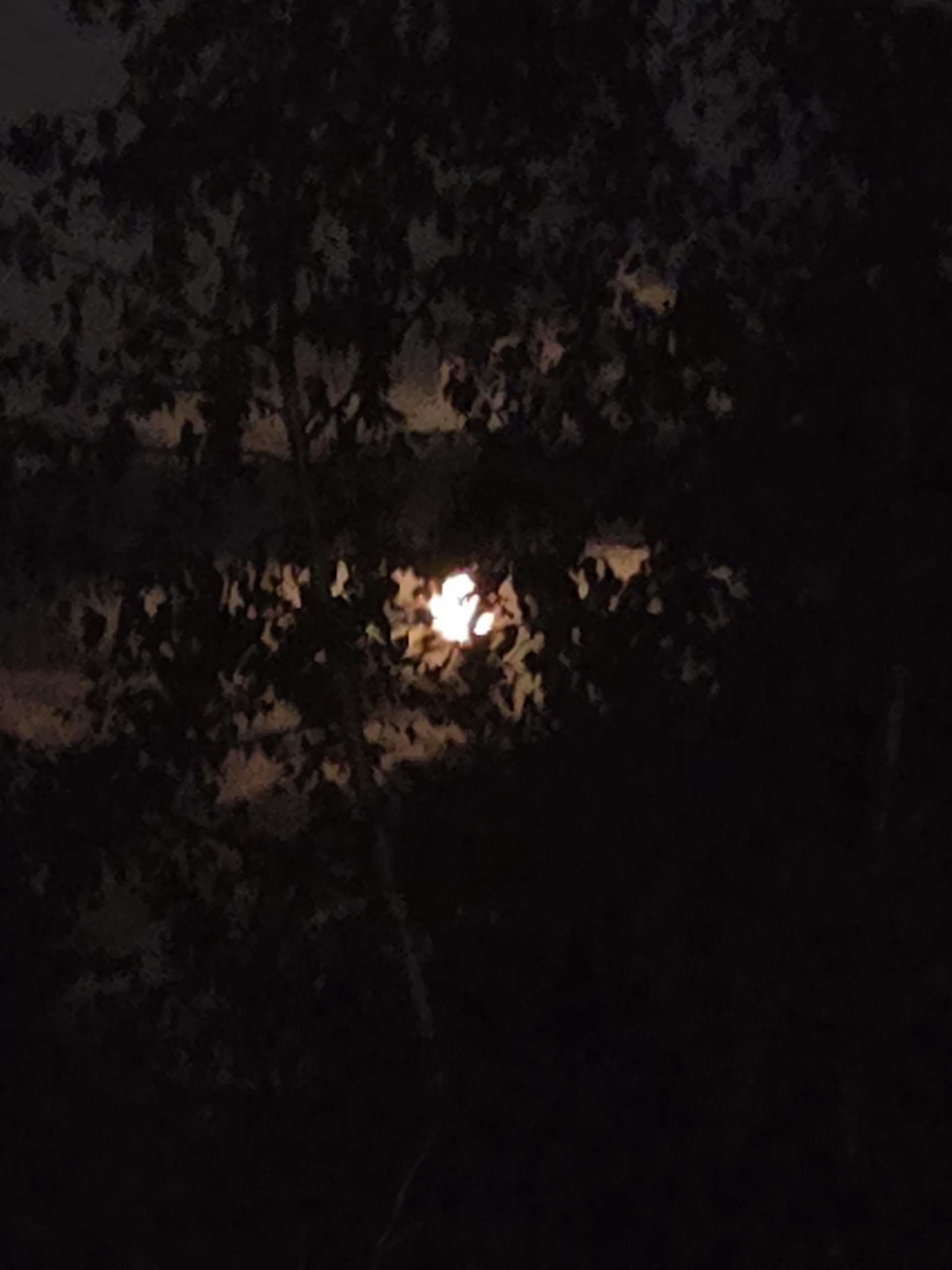 Weiße Pony Porzellanfigur vor einer kleinen Statue, Bild und Pusteblume 